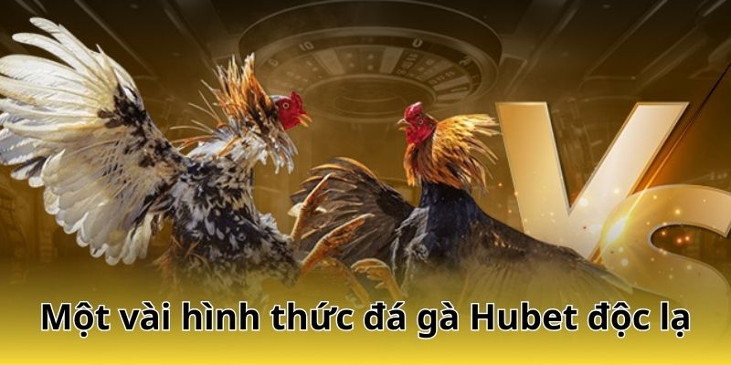 Một vài hình thức đá gà Hubet độc lạ